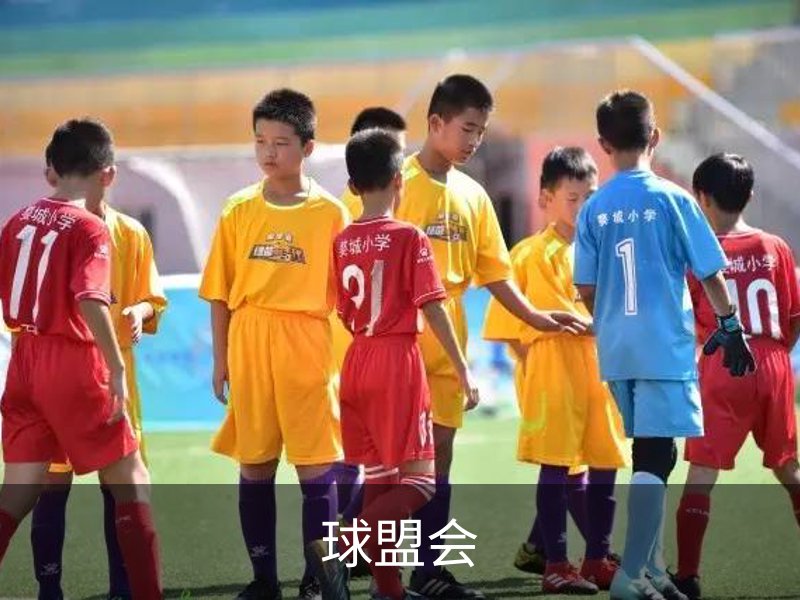 了解球盟会
